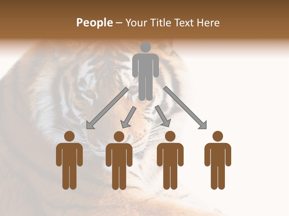 Close Carnivore Gaze PowerPoint Template