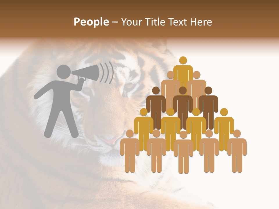Close Carnivore Gaze PowerPoint Template
