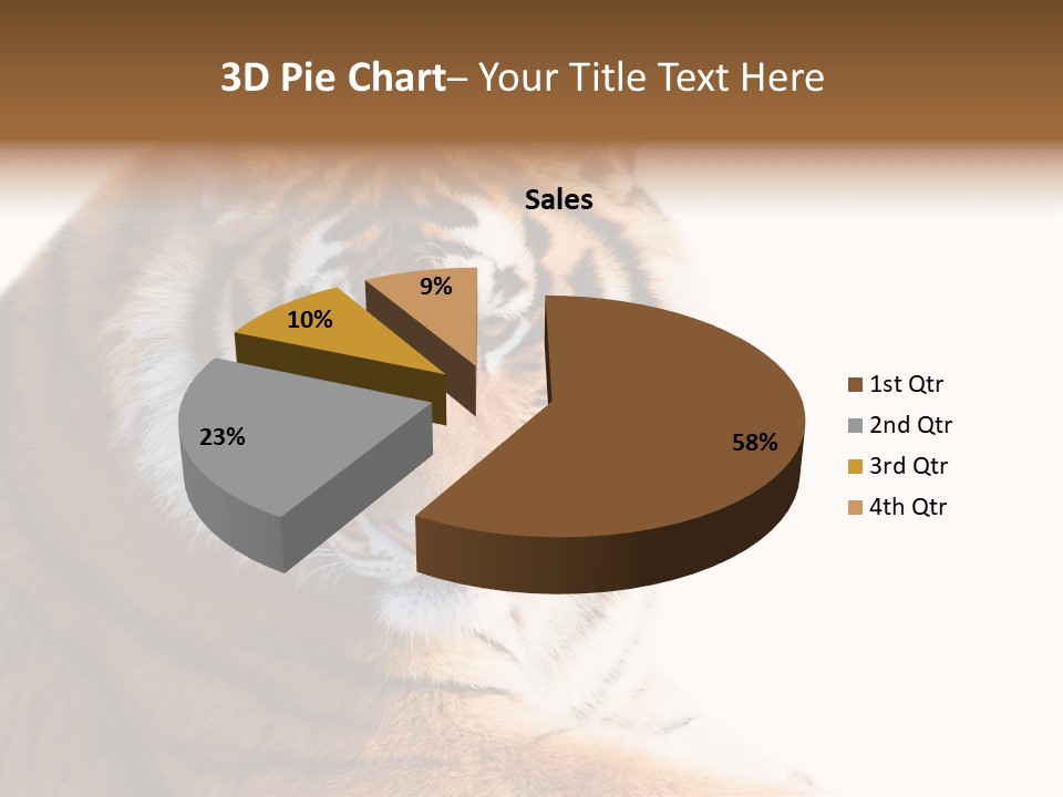 Close Carnivore Gaze PowerPoint Template