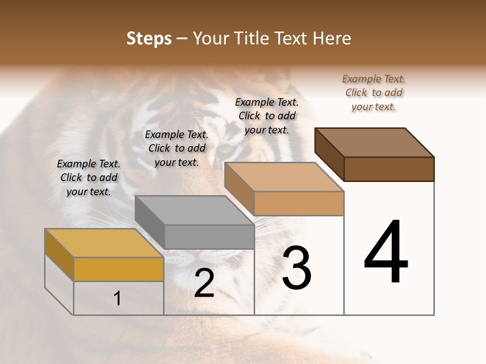 Close Carnivore Gaze PowerPoint Template