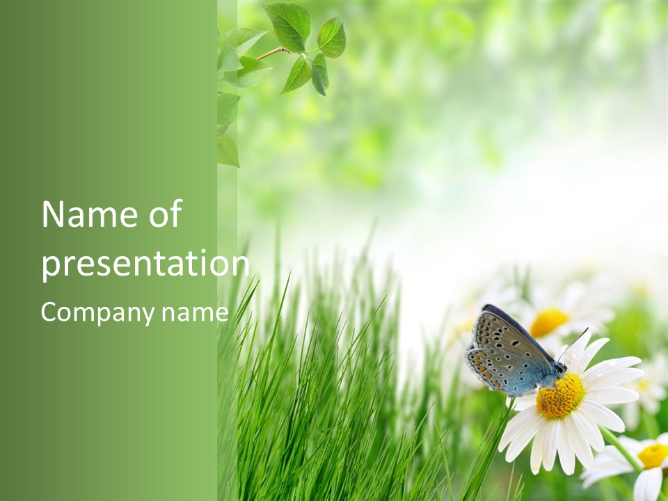 Blue Beginning Nature PowerPoint Template