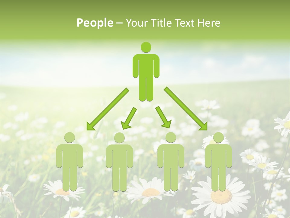 Landscape Blue Green PowerPoint Template