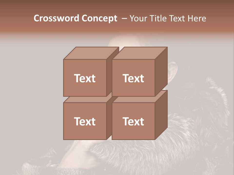 Person Fur Coat Hand PowerPoint Template