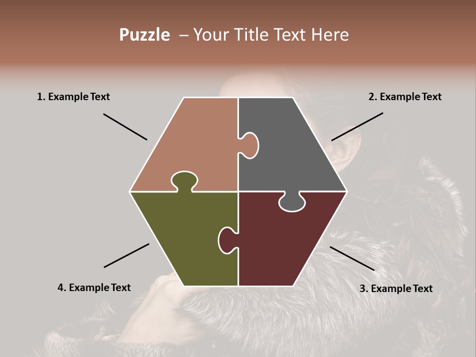 Person Fur Coat Hand PowerPoint Template