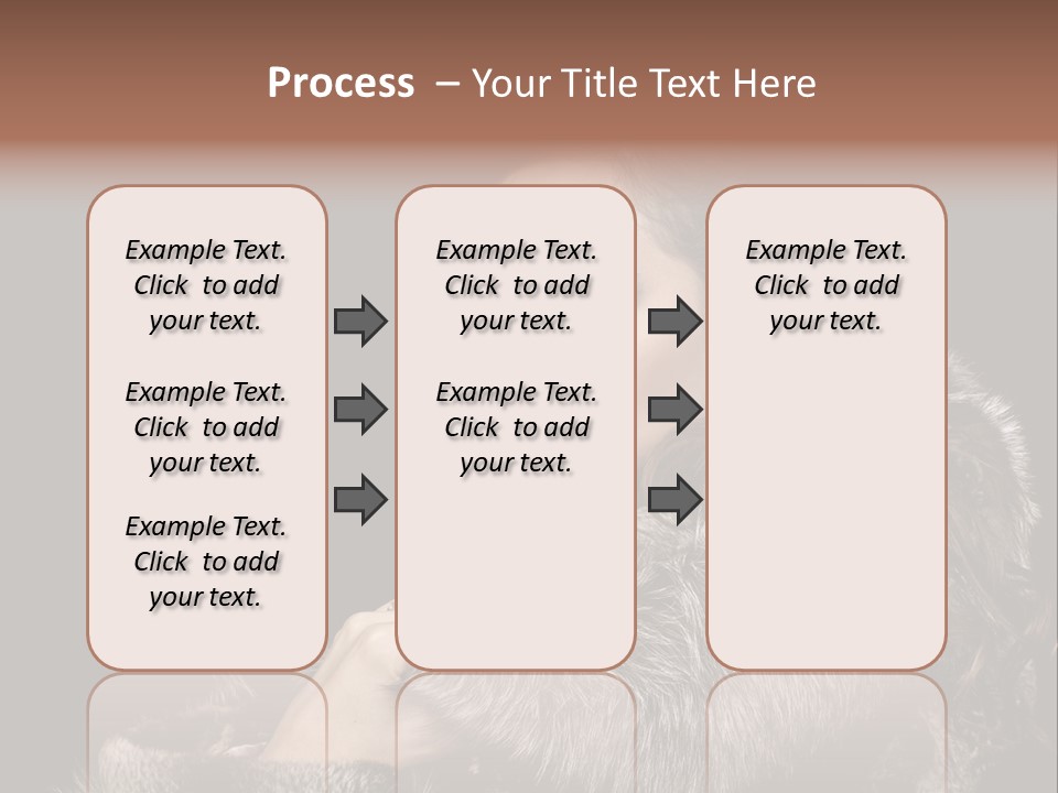 Person Fur Coat Hand PowerPoint Template