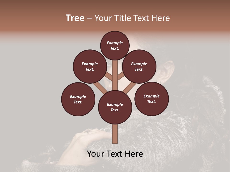 Person Fur Coat Hand PowerPoint Template