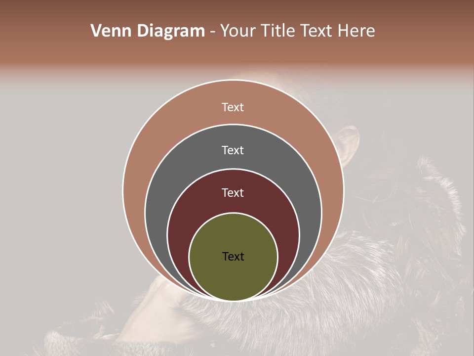 Person Fur Coat Hand PowerPoint Template