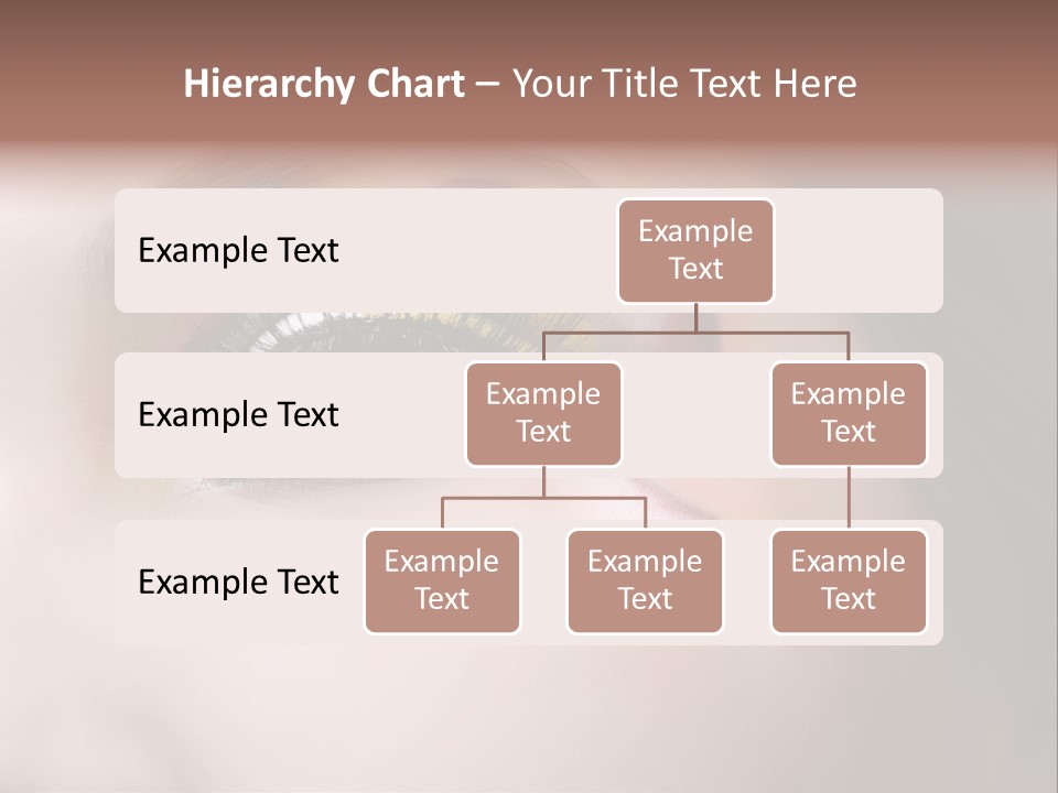 Look Young Eyeshadow PowerPoint Template