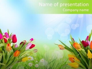 Field Beautiful Rain PowerPoint Template