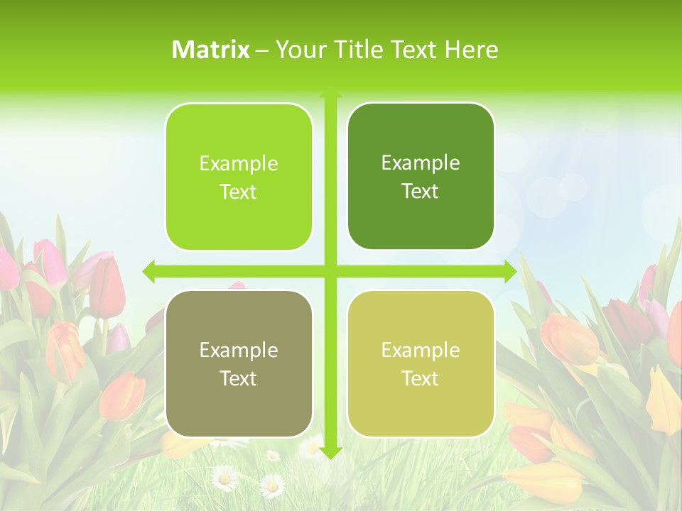 Field Beautiful Rain PowerPoint Template