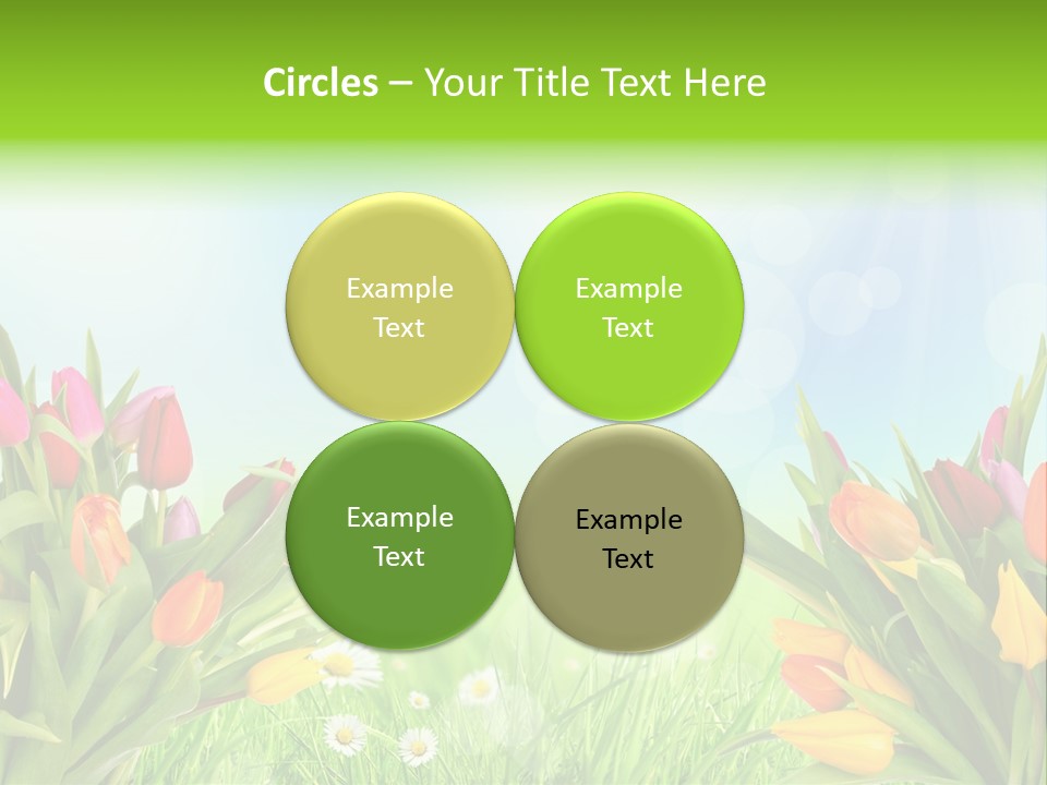 Field Beautiful Rain PowerPoint Template