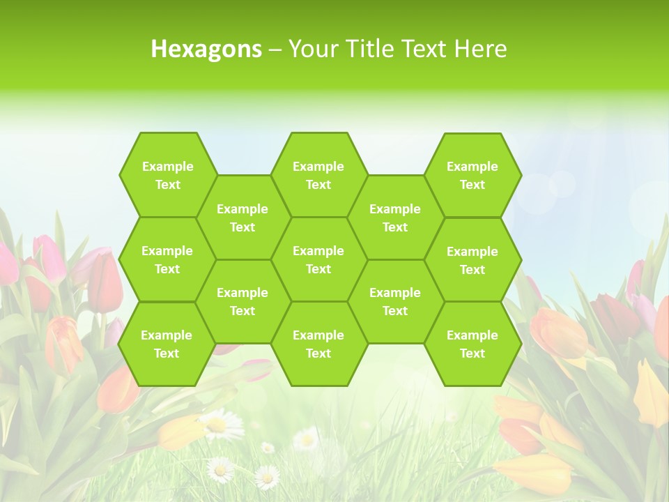 Field Beautiful Rain PowerPoint Template