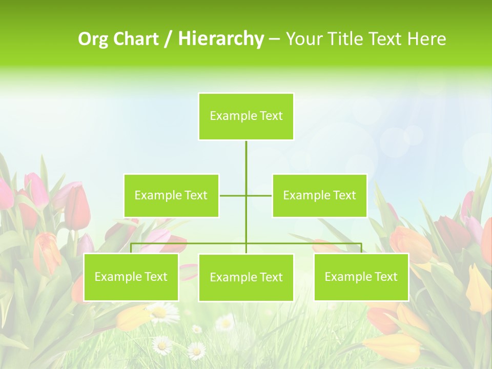 Field Beautiful Rain PowerPoint Template