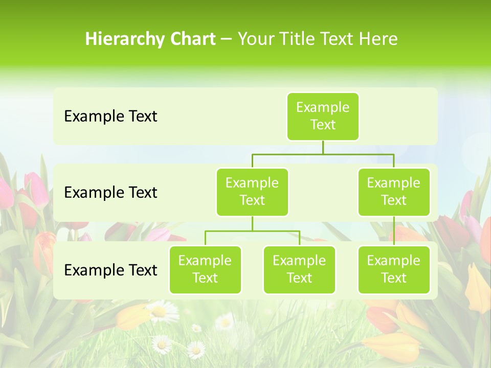 Field Beautiful Rain PowerPoint Template