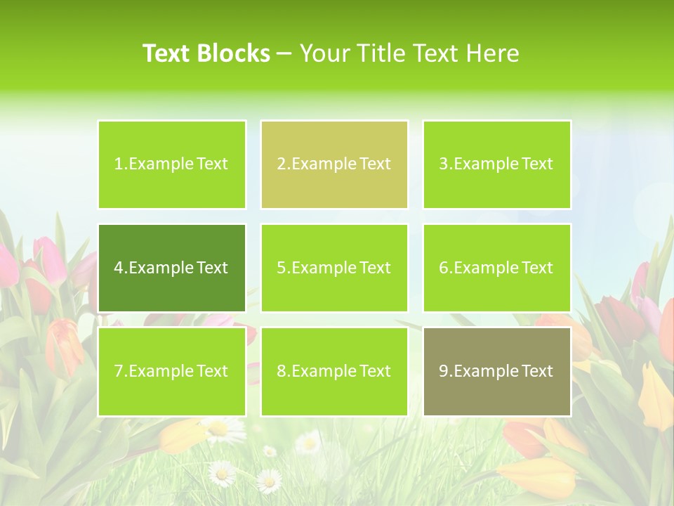 Field Beautiful Rain PowerPoint Template
