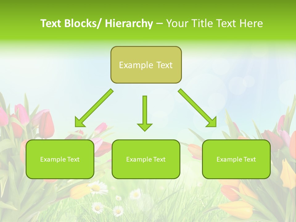 Field Beautiful Rain PowerPoint Template