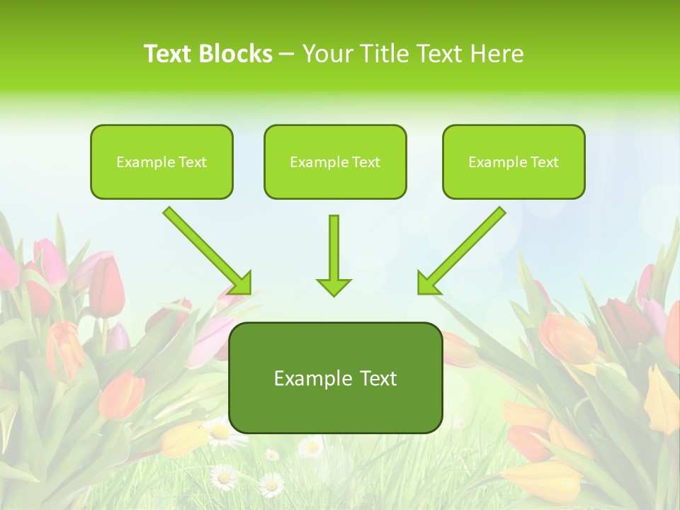 Field Beautiful Rain PowerPoint Template