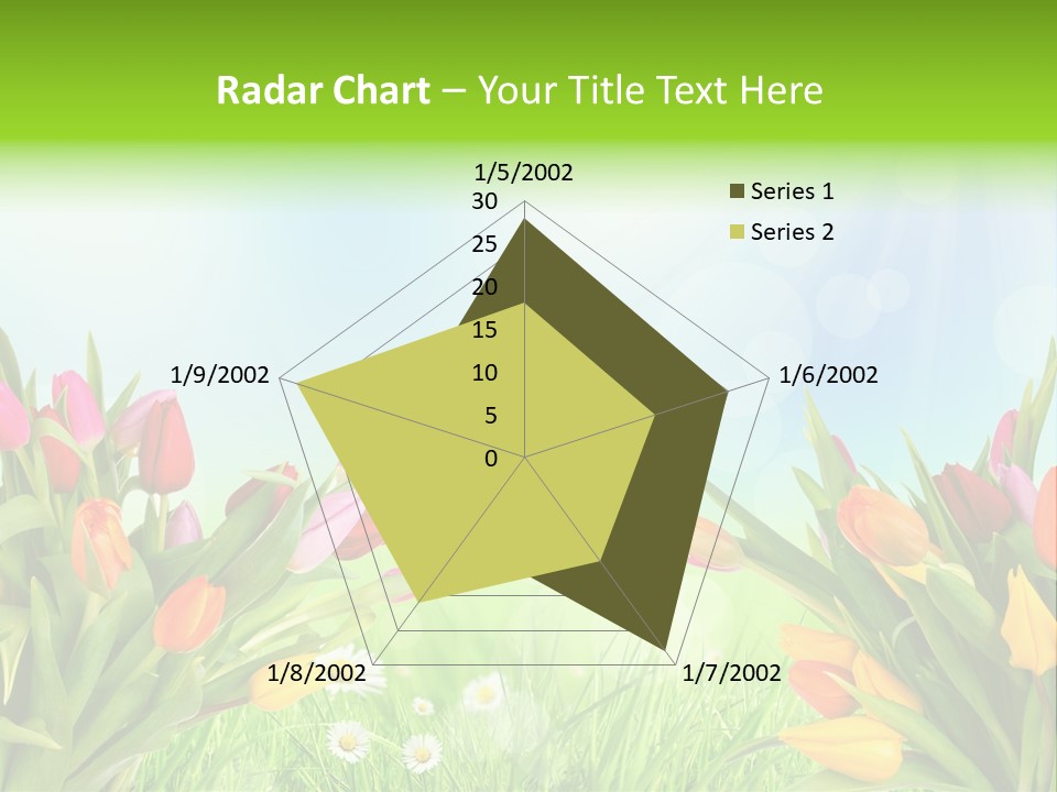 Field Beautiful Rain PowerPoint Template