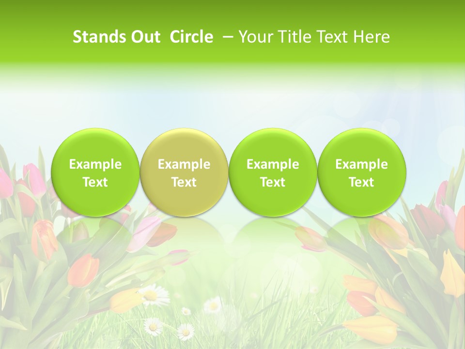 Field Beautiful Rain PowerPoint Template