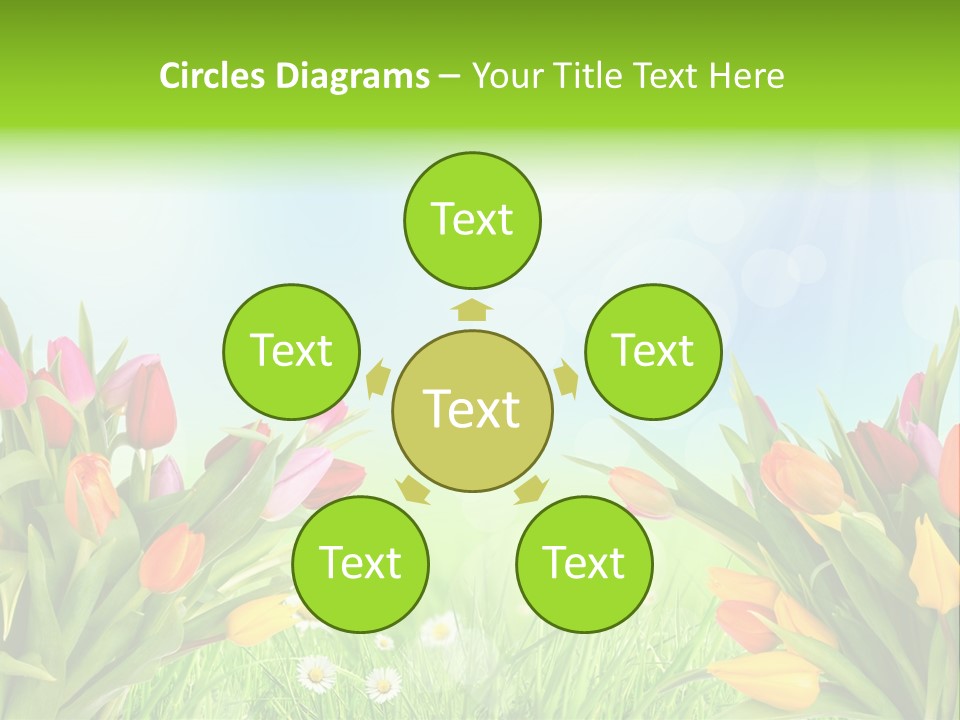 Field Beautiful Rain PowerPoint Template