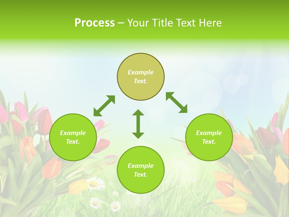 Field Beautiful Rain PowerPoint Template