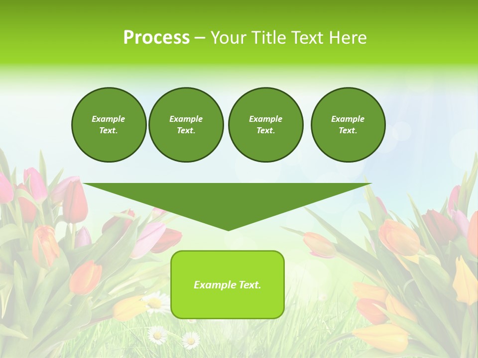 Field Beautiful Rain PowerPoint Template