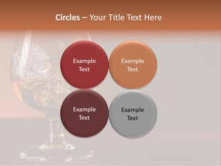 Reflection Liquor Cocktail PowerPoint Template