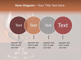 Reflection Liquor Cocktail PowerPoint Template