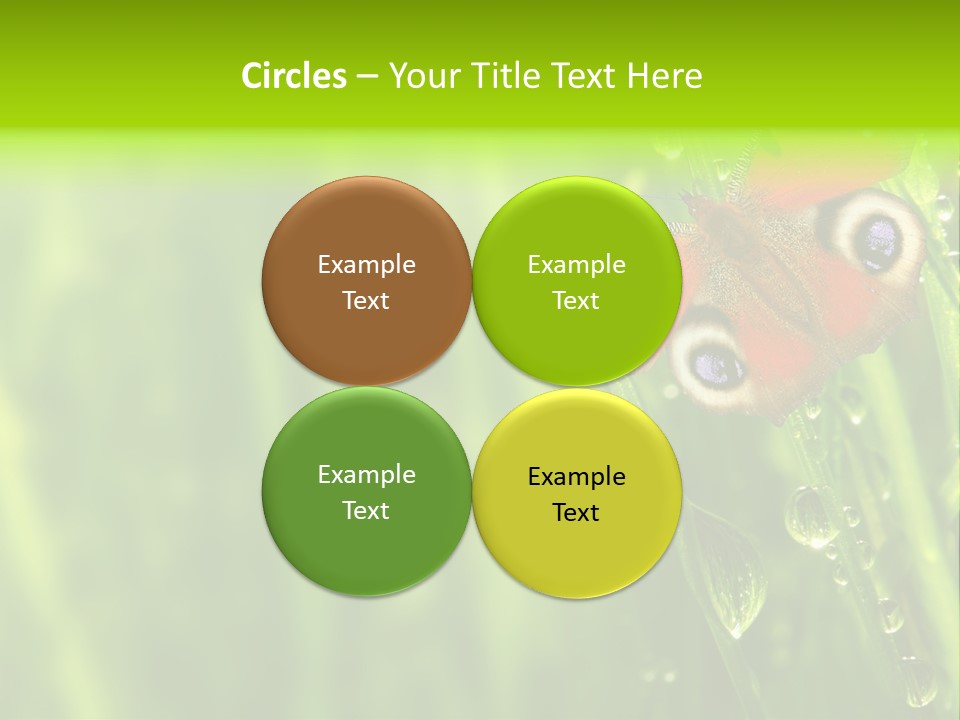 Wet Green Background Garden PowerPoint Template