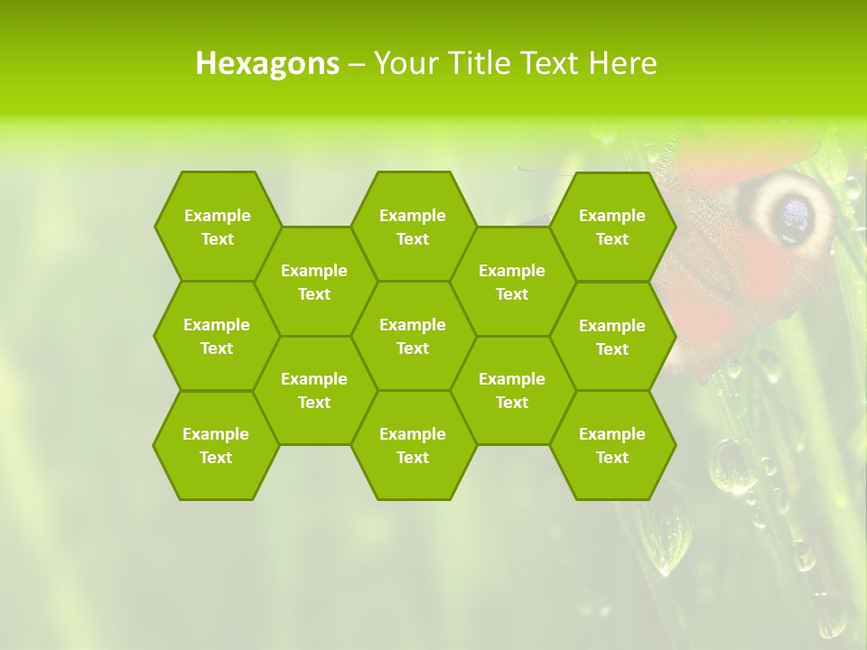 Wet Green Background Garden PowerPoint Template