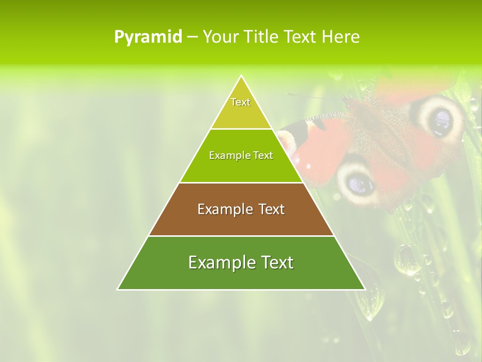 Wet Green Background Garden PowerPoint Template