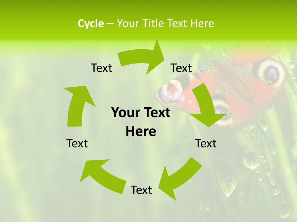 Wet Green Background Garden PowerPoint Template