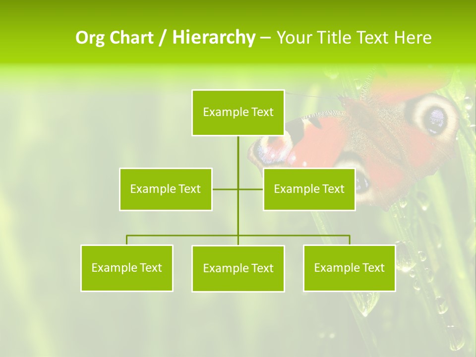 Wet Green Background Garden PowerPoint Template
