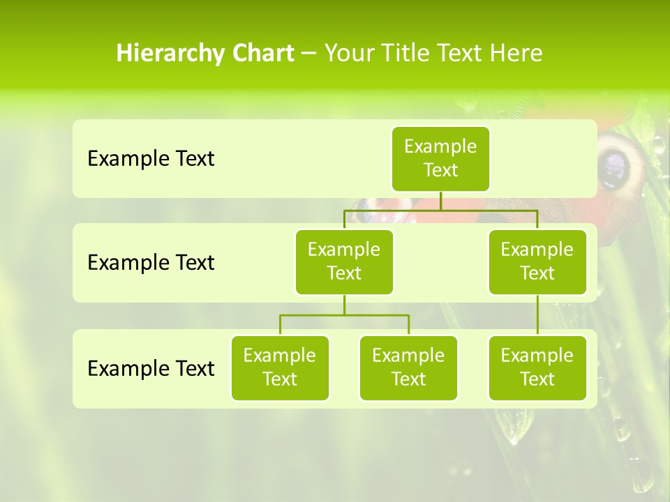Wet Green Background Garden PowerPoint Template