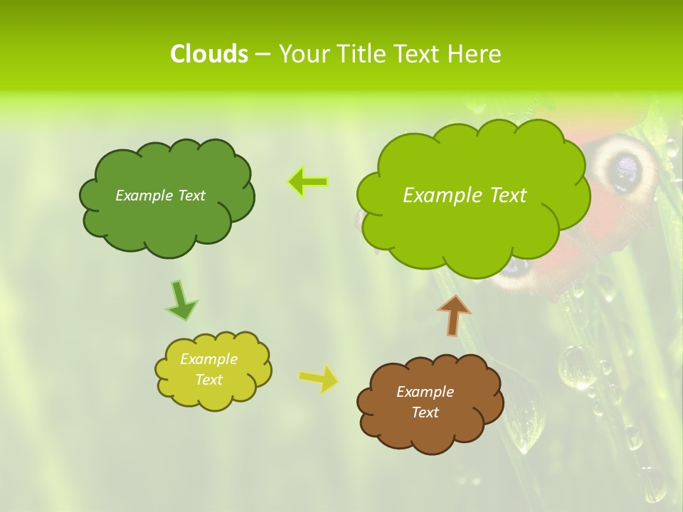 Wet Green Background Garden PowerPoint Template