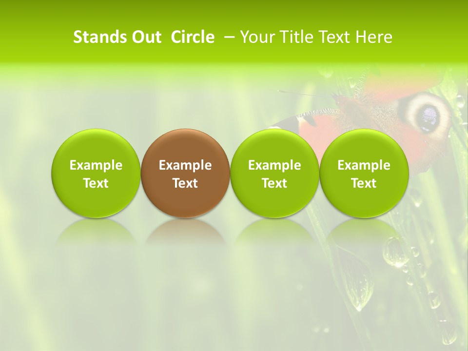 Wet Green Background Garden PowerPoint Template