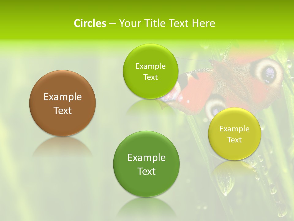 Wet Green Background Garden PowerPoint Template