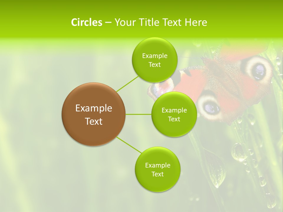 Wet Green Background Garden PowerPoint Template