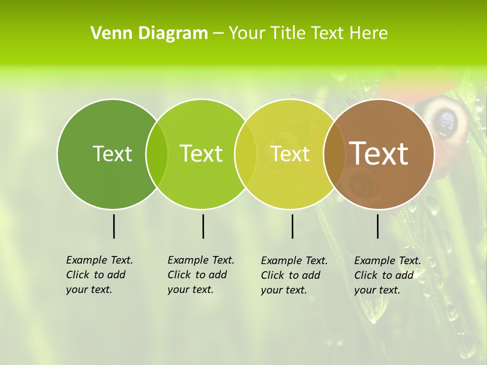 Wet Green Background Garden PowerPoint Template