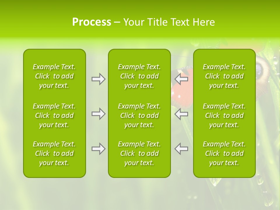 Wet Green Background Garden PowerPoint Template
