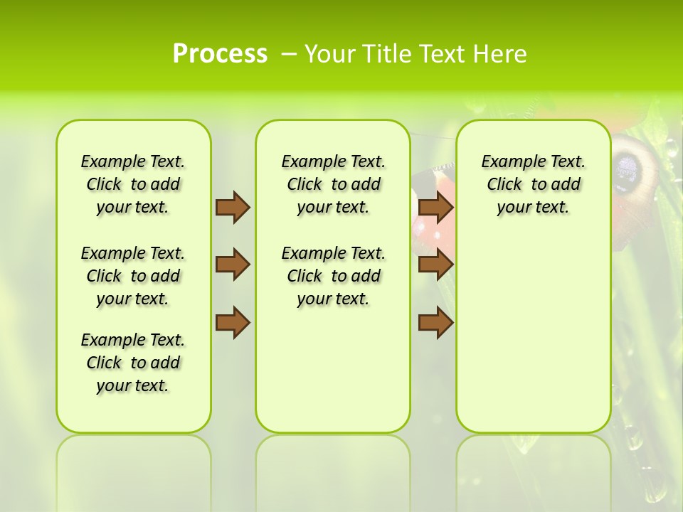 Wet Green Background Garden PowerPoint Template