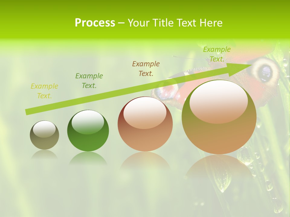 Wet Green Background Garden PowerPoint Template