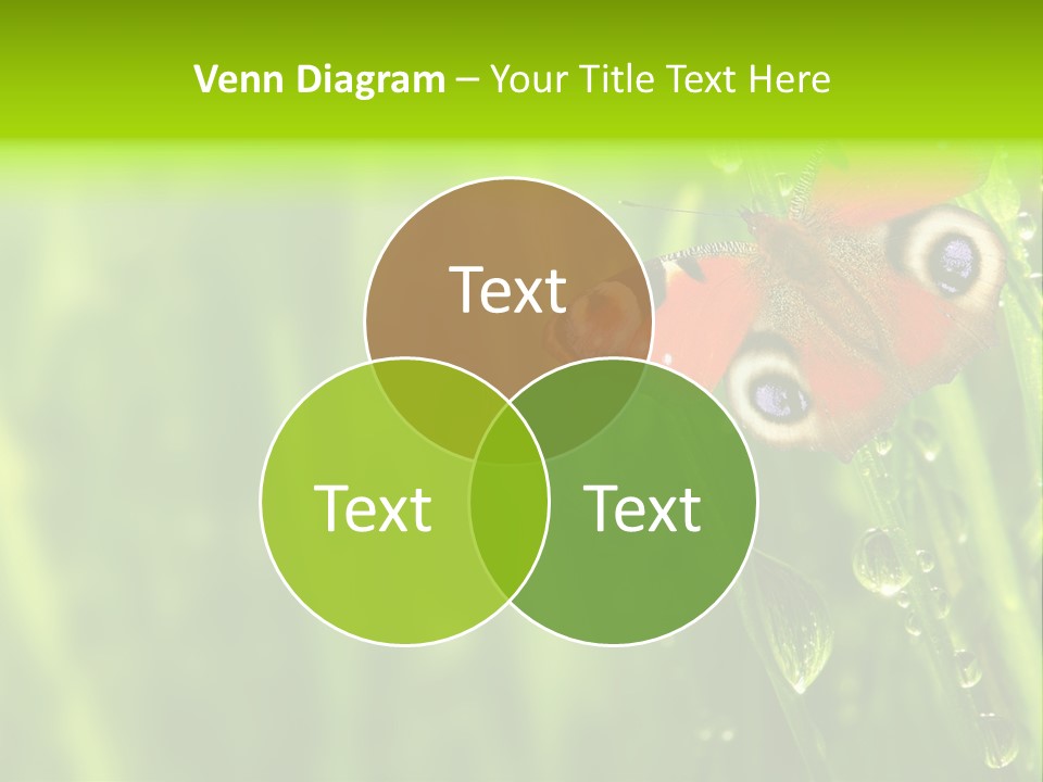 Wet Green Background Garden PowerPoint Template