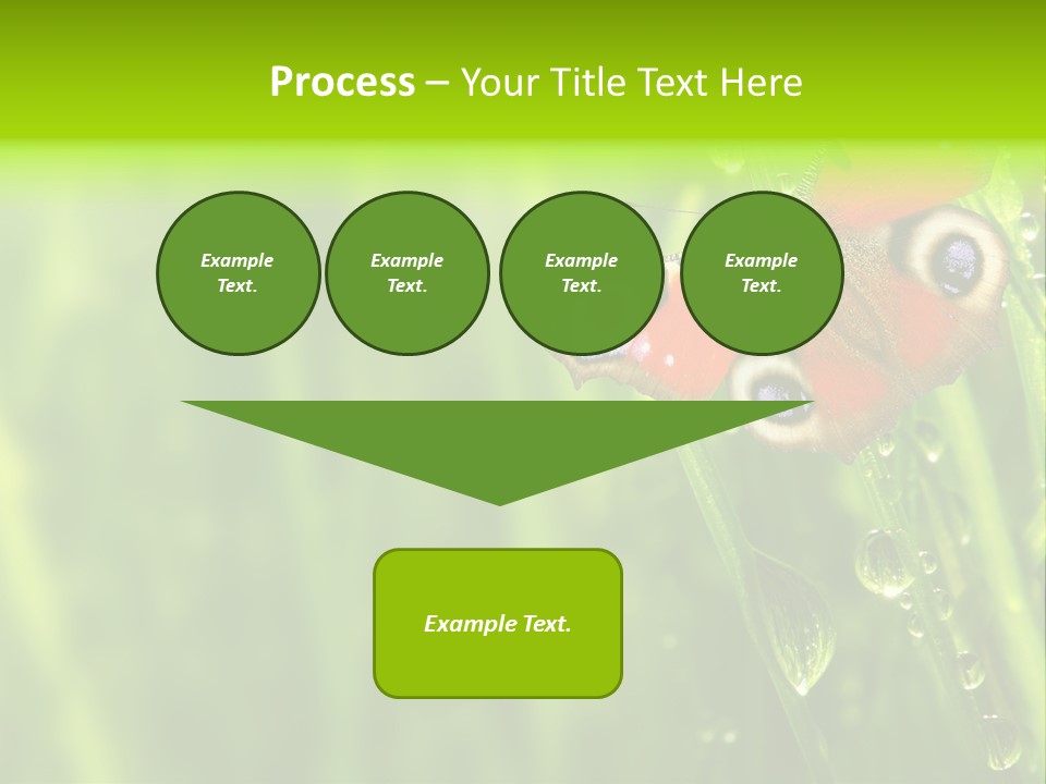 Wet Green Background Garden PowerPoint Template