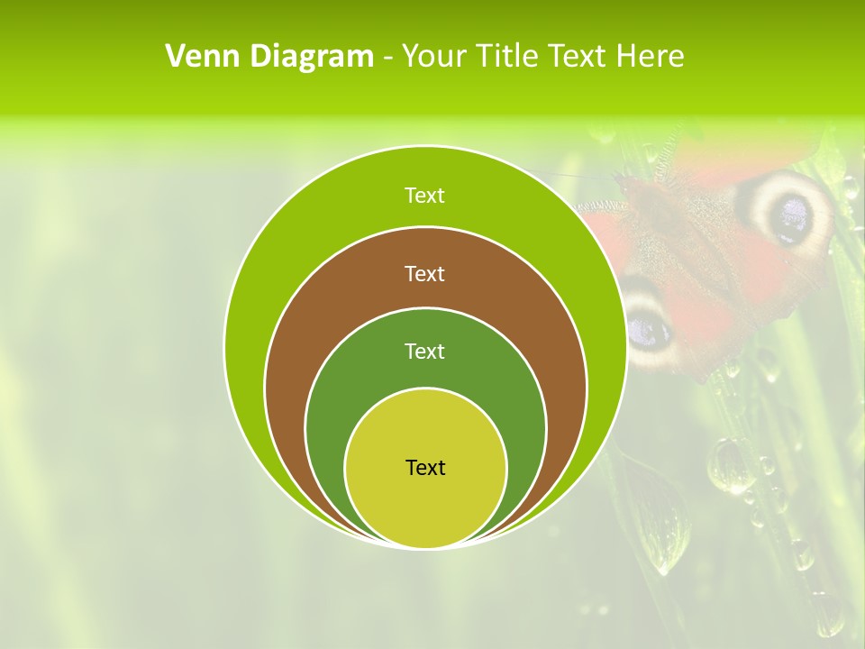 Wet Green Background Garden PowerPoint Template