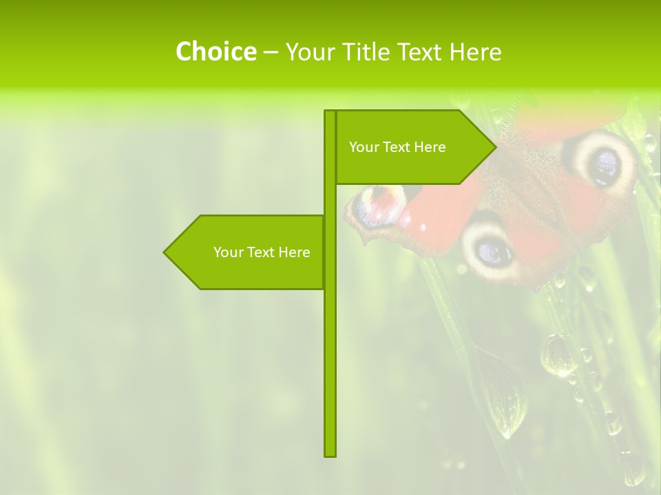 Wet Green Background Garden PowerPoint Template