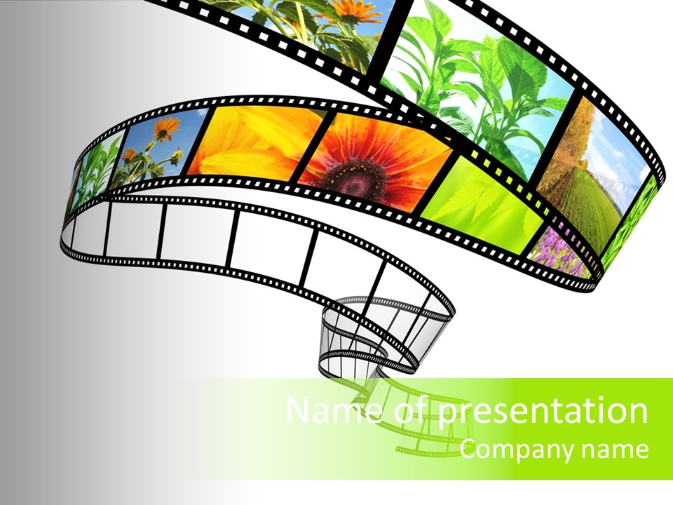 Conservation Green Photographic PowerPoint Template