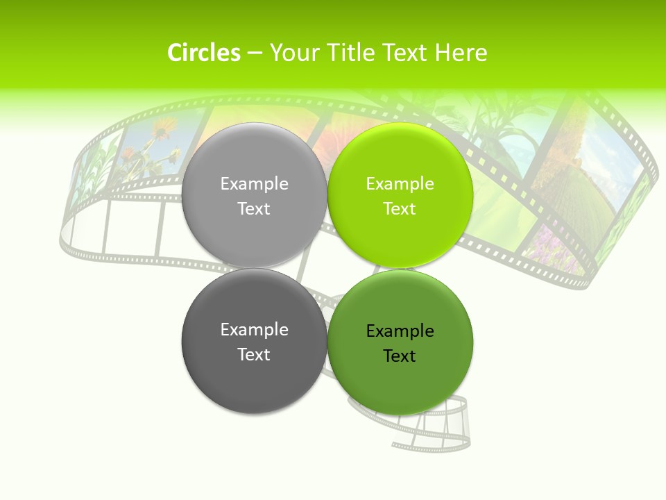 Conservation Green Photographic PowerPoint Template