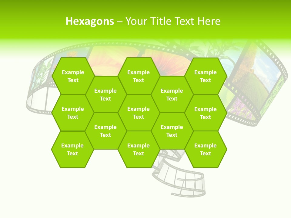 Conservation Green Photographic PowerPoint Template