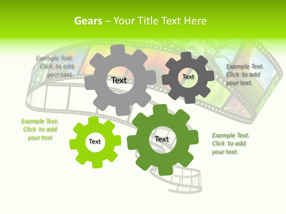 Conservation Green Photographic PowerPoint Template